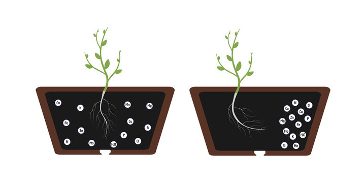Chemotropism is defined as the growth of organisms navigated by chemical stimulus from outside of the organism. The root of the plant tends to the soil with fertilizers, nessesary for growth.