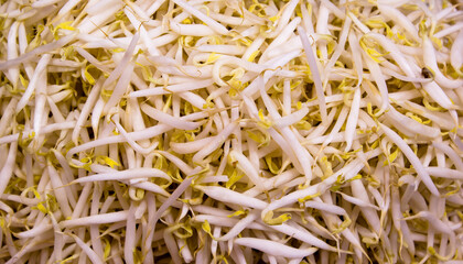 Street food Bean Sprouts on White Background