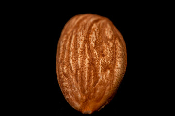 almonds, macro almonds, almonds at a very high magnification, - obrazy, fototapety, plakaty