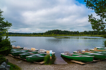 Fototapeta premium Many green rowboats at lakeside at a boat rental station ready for some sports on a small lake between green forest nature landscape