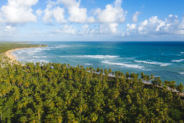 Fototapeta na wymiar Wild tropical coastline with coconut palm trees and turquoise caribbean sea. Aerial view from drone. Beautiful travel destination. Aerial view