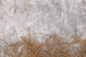 Dried pine needles on concrete  background. Coniferous tree needles on stone floor, top view.