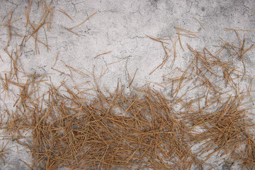 Dried pine needles on concrete  background. Coniferous tree needles on stone floor, top view.