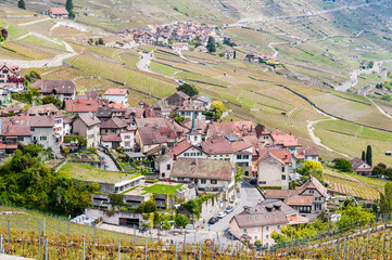 Riex, Lavaux, Genfersee, Weinberge, Dorf, See, Seeufer, Wanderweg, Weinberg-Terrassen, Weinbauer, Frühling, Waadt, Schweiz