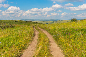 Fototapeta na wymiar A winding field road among the hills. Summer landscape. Altai, Siberia, Russia.