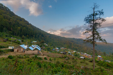 Fototapeta na wymiar Solo tree with houses with flowers and plants with forest background, Silerygaon Village, Sikkim