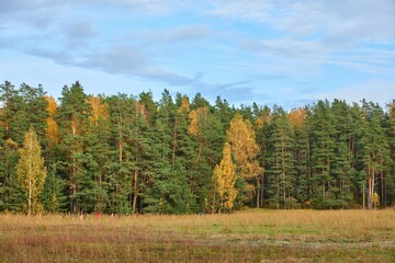 Beautiful colours of autumn time