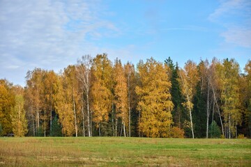 Stunning autumn time colours in Russia