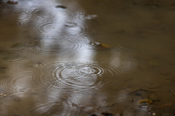rain drops in a puddle 