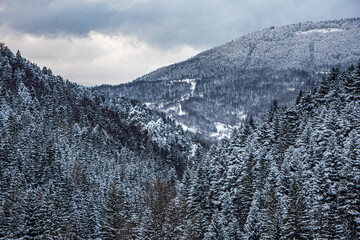 snowy mountain landscape, terchova, Mala Fatra, winter, Slovakia, Europe