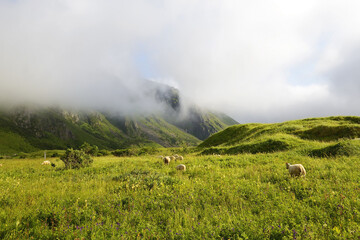 Andoya landscape in the Vesteralen Islands archipelago in Northern Norway. The island of Andoya,...