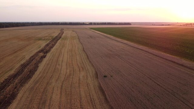 Tilting camera up and flying forward over the combine harvester loading grain to the car. Beautiful view on agricultural fields in Autumn