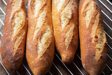 Batch of freshly baked baguettes background.