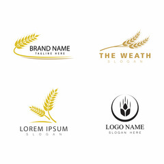 Agriculture wheat vector icon design