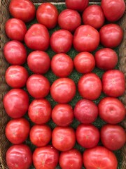 tomatoes in a market