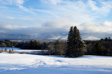 Winter Mountains and Fields