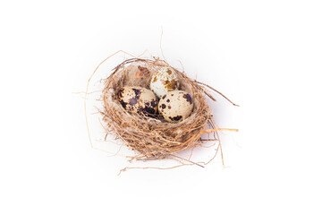 Naklejka na ściany i meble Three quail eggs in a nest on a white background. Closeup