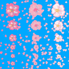 イラスト素材　三色の桜の花