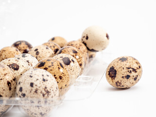 Fototapeta premium Quail eggs isolated. Quail eggs isolated on white background.
