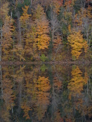 Autumn Landscape Reflection