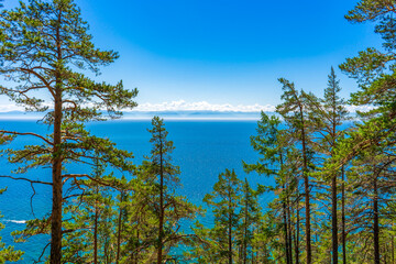 Great Baikal Trail. Popular route along lake Baikal shore from Listvyanka to Big Koty. View from hill with pine trees to lake Baikal. Summer travel, discovery of beauty of Earth. Siberia, Russia © Tatyana_Andreyeva