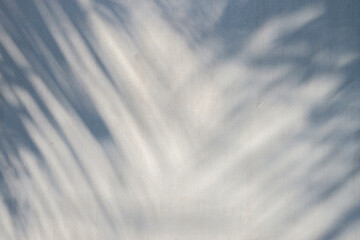 The texture of the light and shadow of the natural leaves in motion