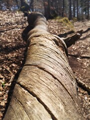 drehen und wenden