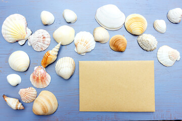 Seashells of various shapes and types and blank greeting card mockup on a blue background. Summer vacation or seafood concept. Flat lay, top view. Natural marine design.