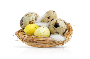 Naklejka na ściany i meble Quail Easter eggs in a nest isolated on white background.