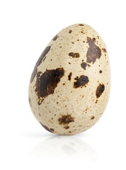 Obraz premium Single quail egg isolated on white background.