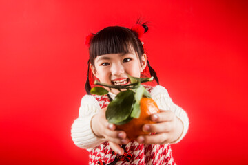 A Chinese girl is happy to celebrate the Spring Festival.