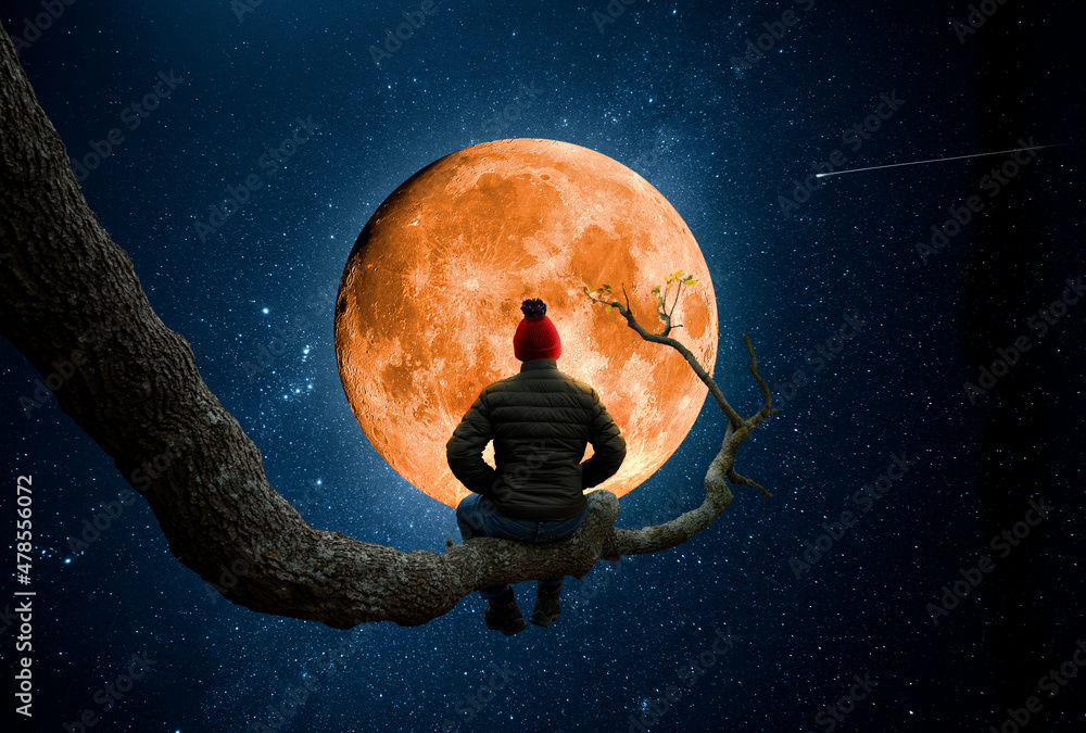 Wall mural man observes the moon on the trunk of a large tree