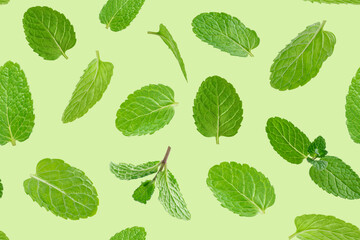 Seamless pattern of green mint leaves. © Tania