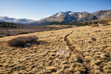 High trail in the Mount Evans Wilderness, Colorado