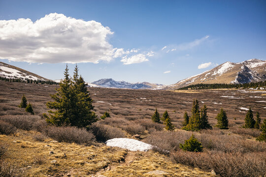 High Basin in the Mount Evans Wilderness, Colorado - Powered by Adobe