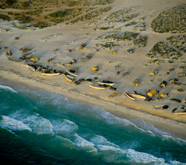 Fishing Village Atlantic Coast Sahara Desert Mauritania Africa