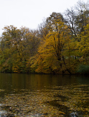 lake in the autumn park