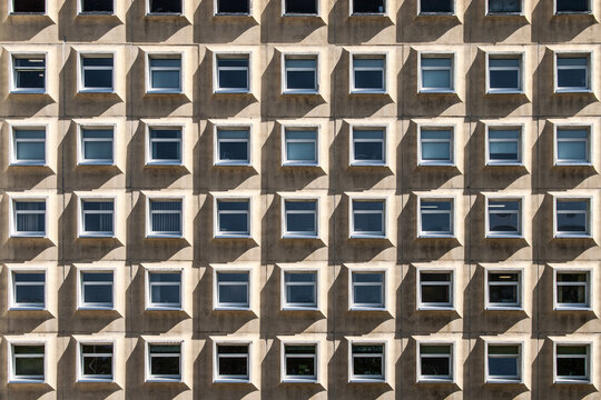 quadrat