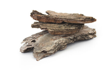 Tree bark isolated on white background close up