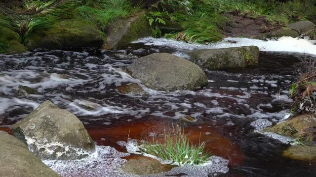 Abbegraben im Torfhausmoor im Harz
