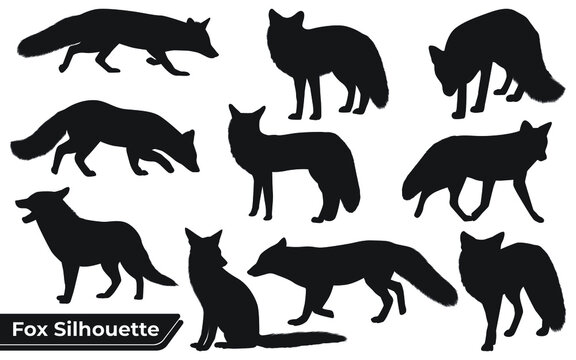 Animal Fox silhouette in different poses