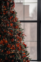 christmas tree in the window