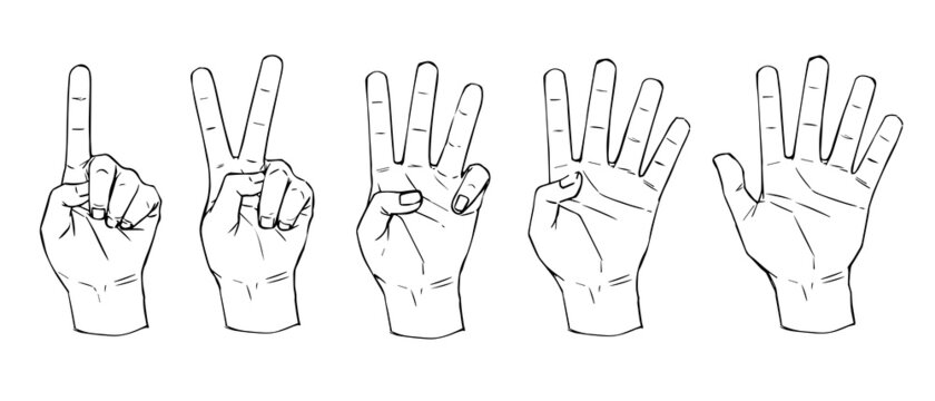 指差しサイン の画像 6 521 件の Stock 写真 ベクターおよびビデオ Adobe Stock