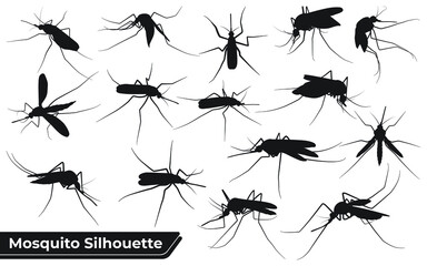 Collection of Animal Mosquito Silhouettes vector