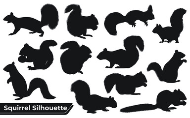 Collection of Animal Squirrel Silhouette vector