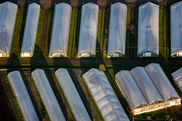 Greenhouses in Laval Quebec Canada