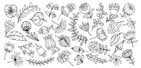 Set of hand-drawn flowers and leaves. Doodles of plant elements. Vector illustration for floral frames, patterns, ornaments and greeting cards.