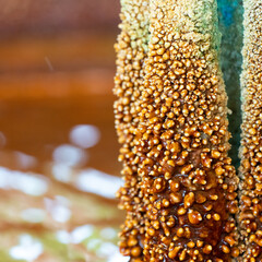 Salzstollen Bad Bocklet  