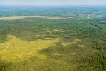Boreal Forests Near Matagami Quebec Canada