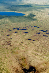 Boreal Forest in Waskaganish Region Quebec Canada